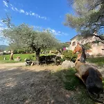 Azienda Agrituristica Contras Nyaraló